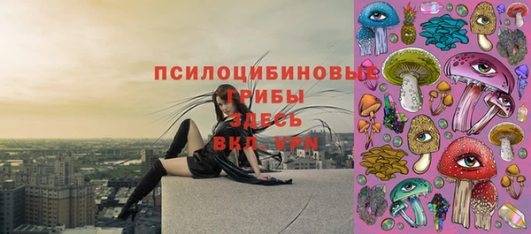 соль ск Верея