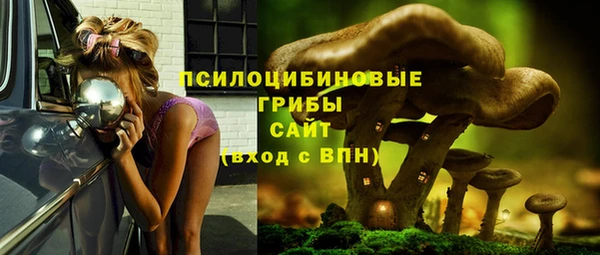 экстази Бородино