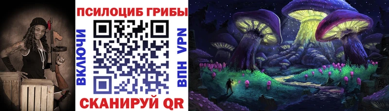 Псилоцибиновые грибы MAGIC MUSHROOMS  цена наркотик  Калач 